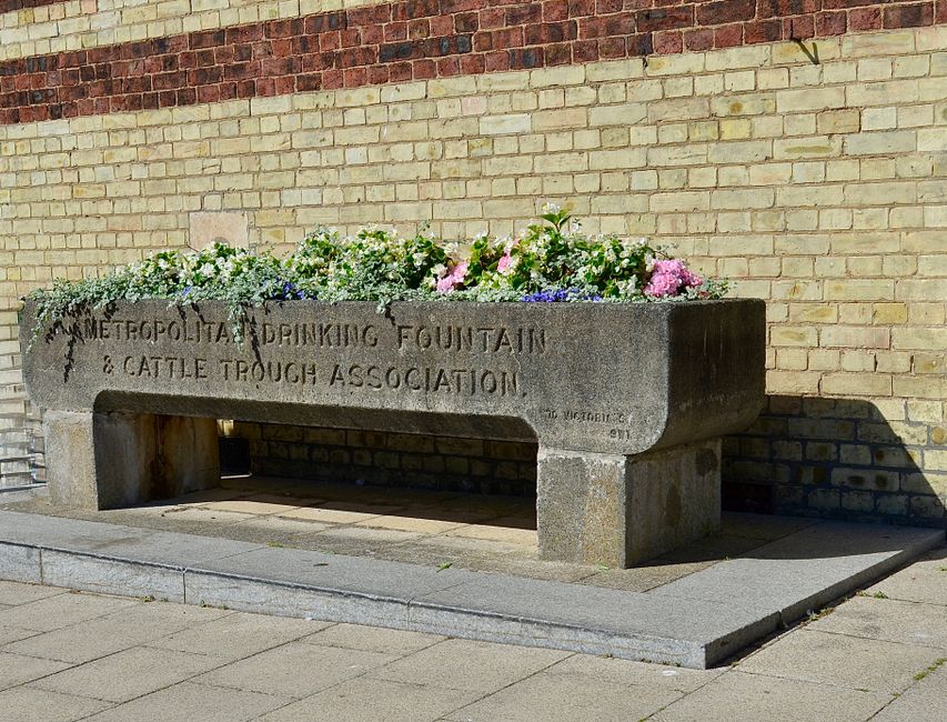 A large rectangular stone planter with engraved lettering reading 'Metropolitan Drinking Fountain & Cattle Trough Association' is mounted on a concrete sidewalk against a brick wall. The top of the pl